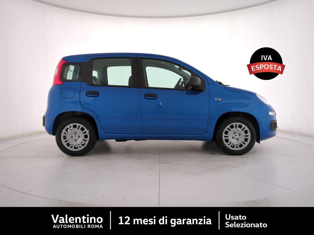 Fiat Panda nuova a Roma (2)