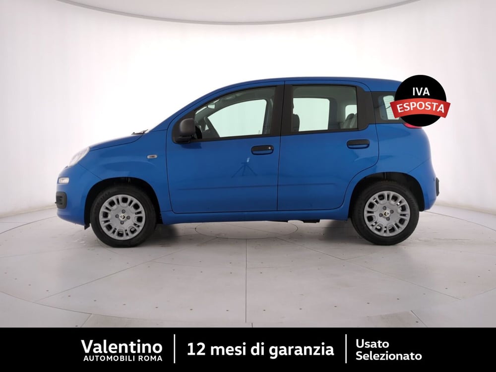 Fiat Panda nuova a Roma (4)