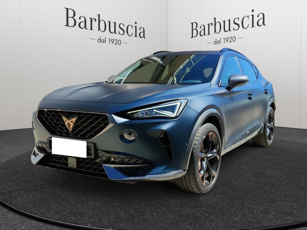 Cupra Formentor usata a Pescara