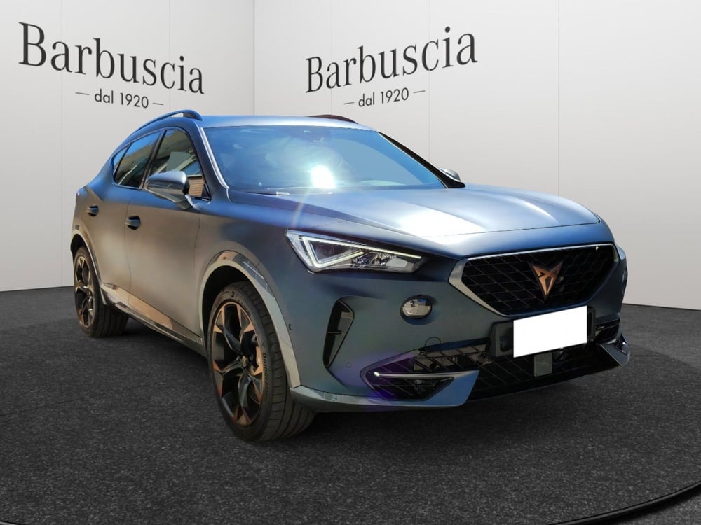 Cupra Formentor usata a Pescara (2)