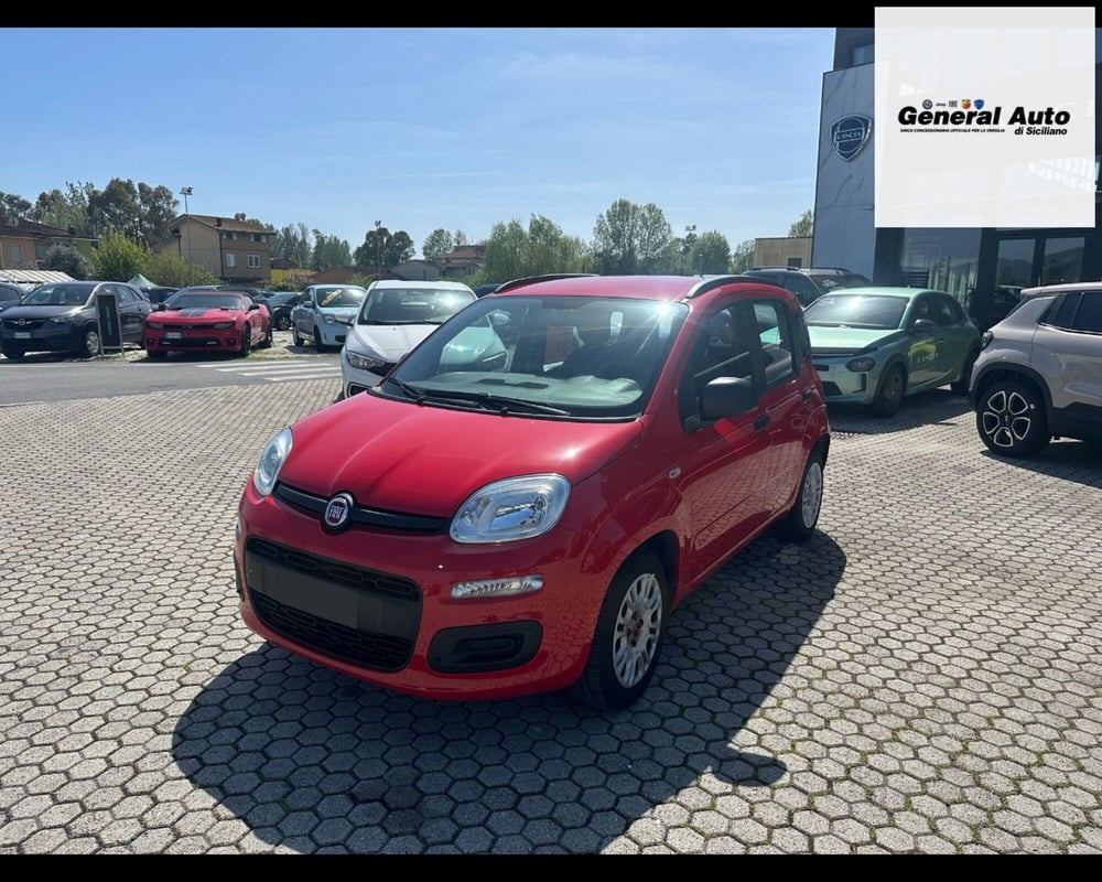 Fiat Panda usata a Lucca (3)