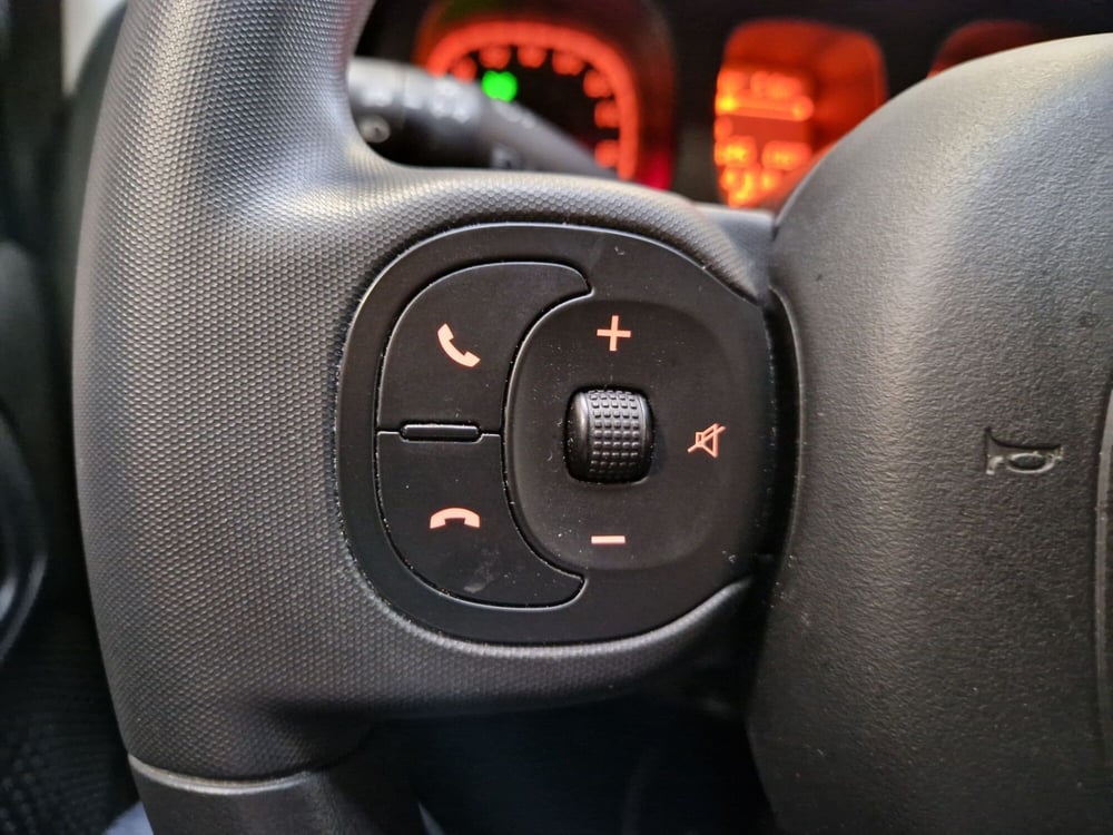 Fiat Panda Cross usata a Varese (10)