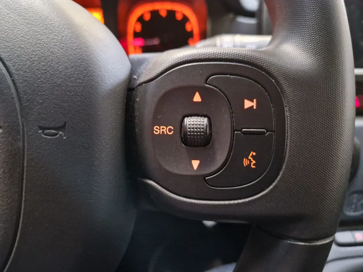 Fiat Panda Cross usata a Varese (11)