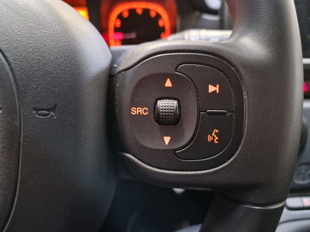 Fiat Panda Cross usata a Varese (11)