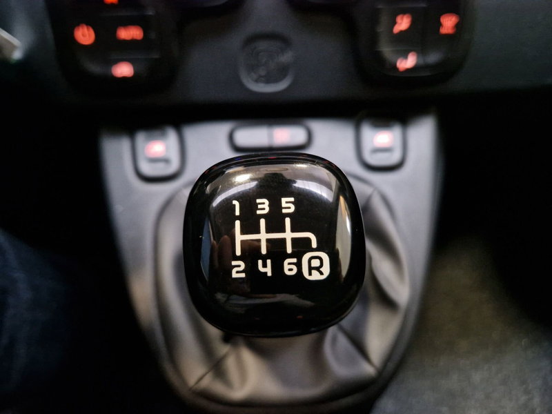 Fiat Panda Cross usata a Varese (13)