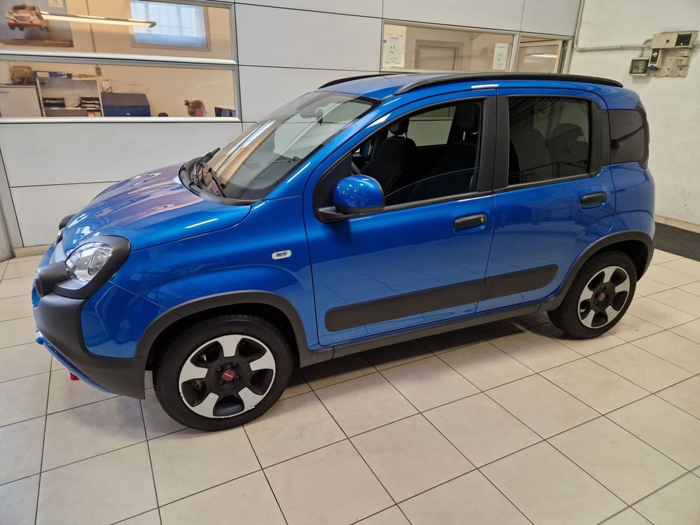 Fiat Panda Cross usata a Varese (2)