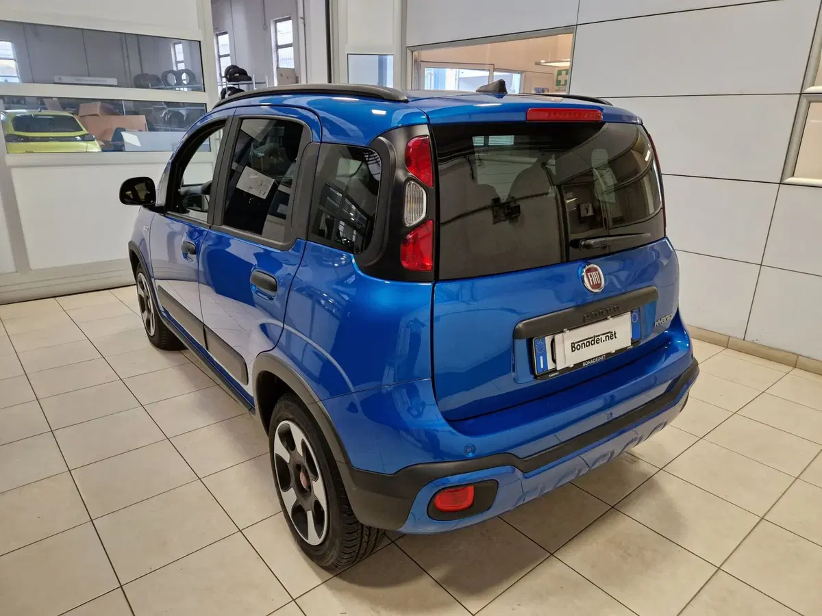 Fiat Panda Cross usata a Varese (3)