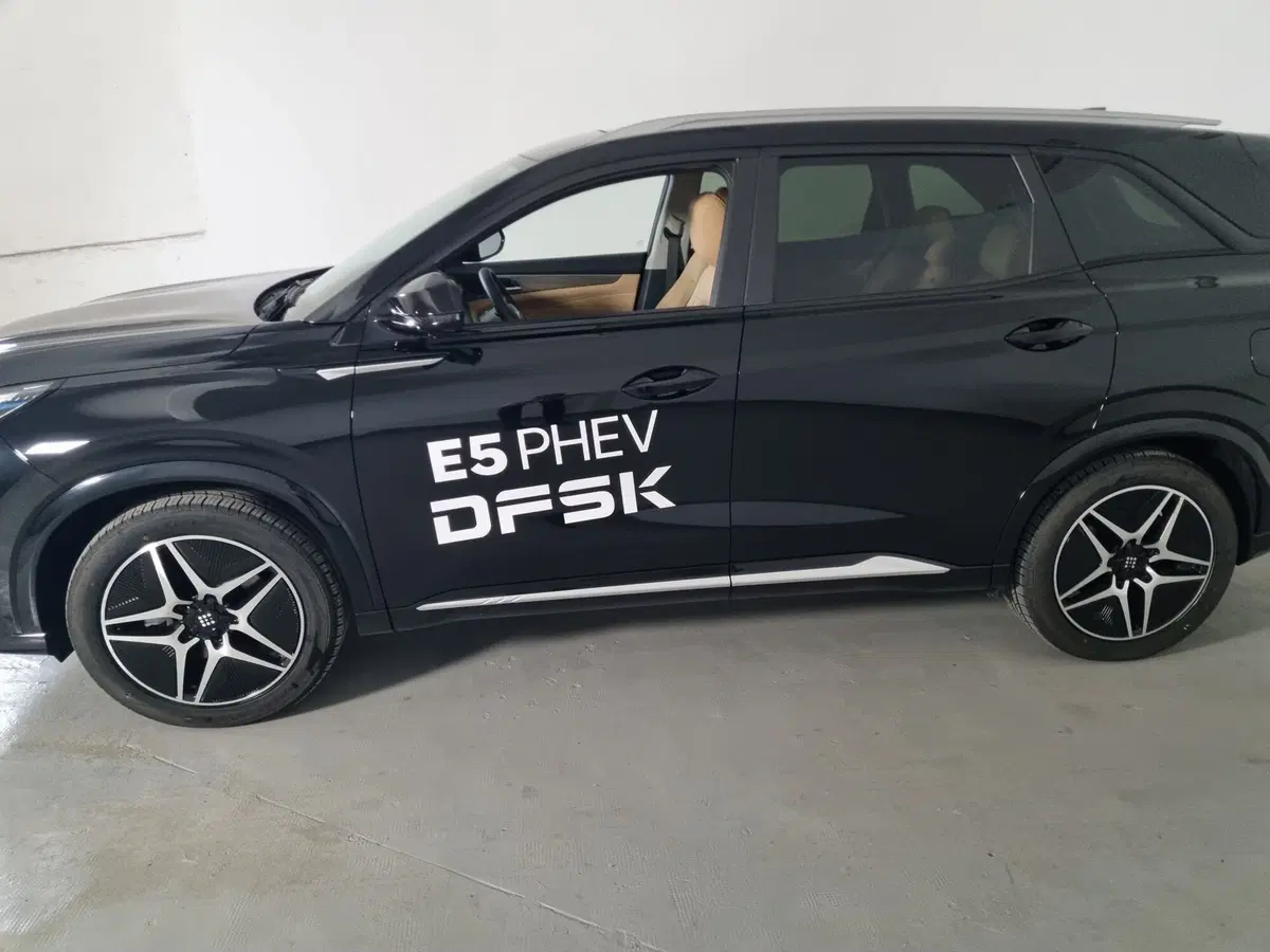 Dfsk E5  nuova a Cremona (7)