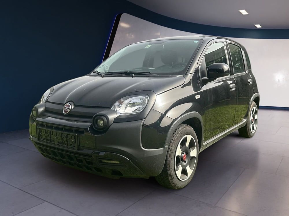 Fiat Panda usata a Salerno