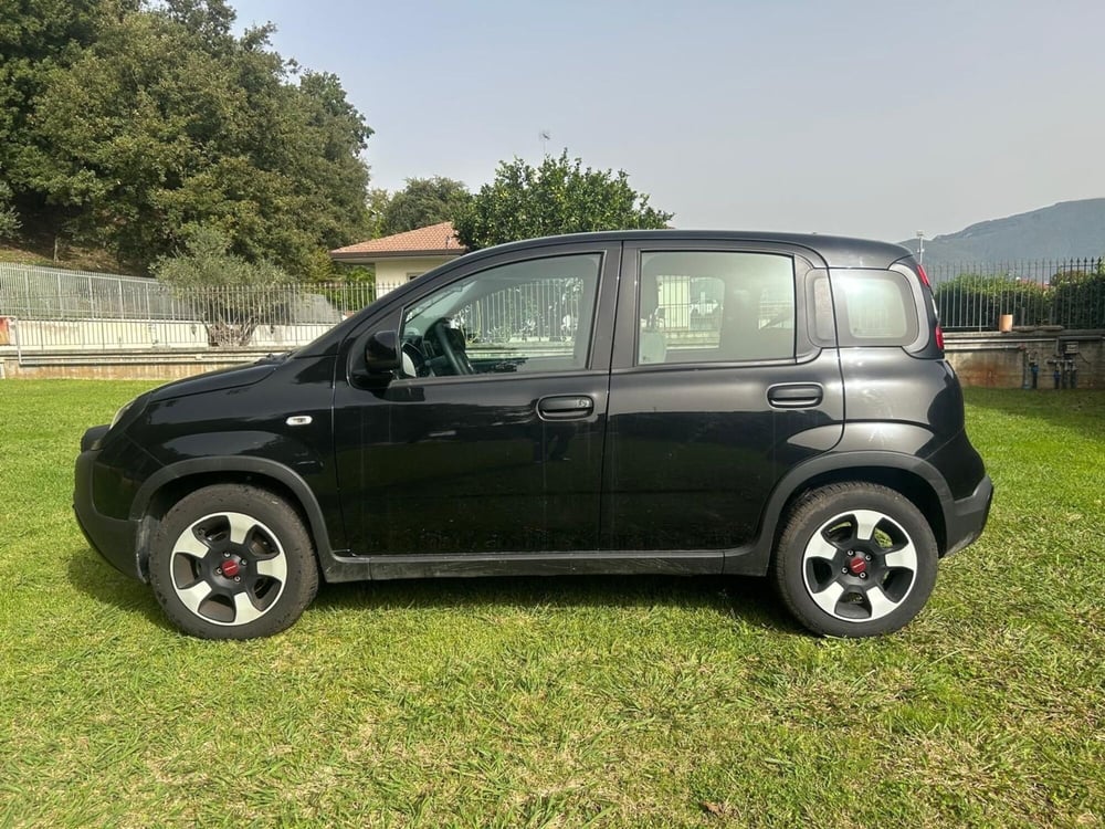 Fiat Panda usata a Salerno (10)
