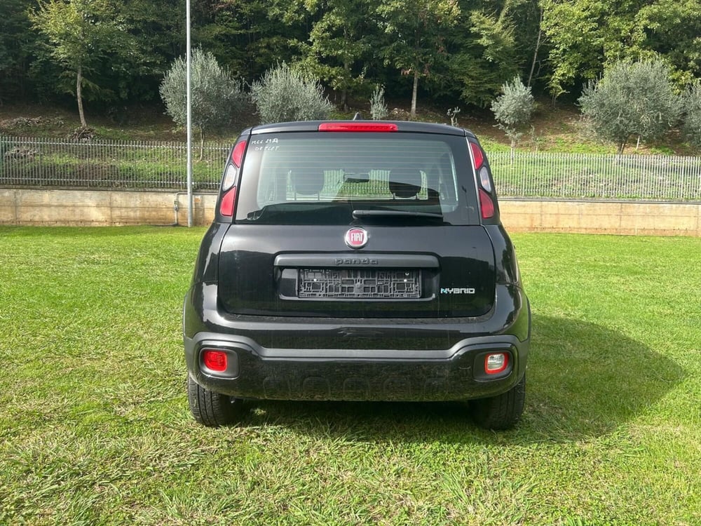 Fiat Panda usata a Salerno (12)