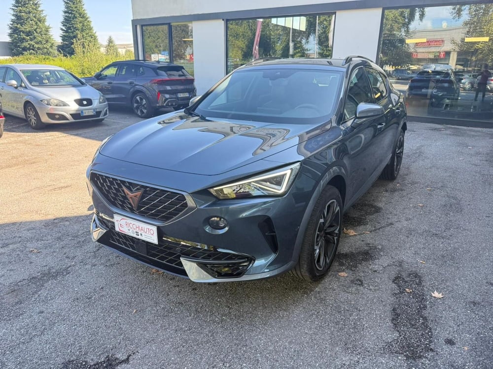 Cupra Formentor usata a Monza e Brianza (2)