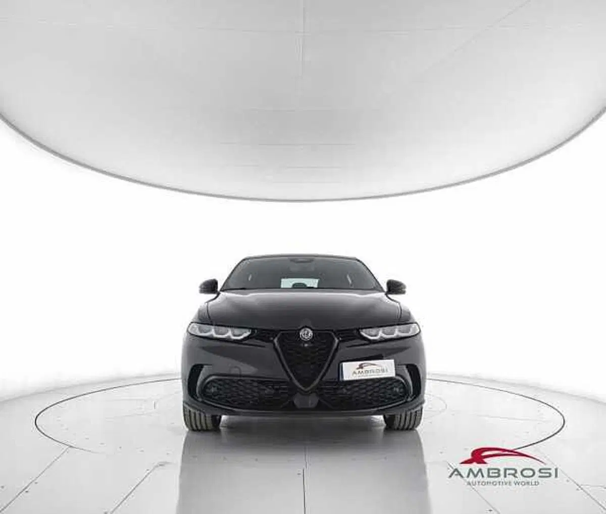 Alfa Romeo Tonale usata a Perugia (5)