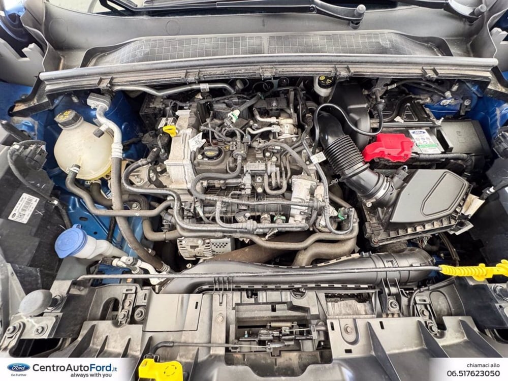 Ford Puma usata a Roma (12)