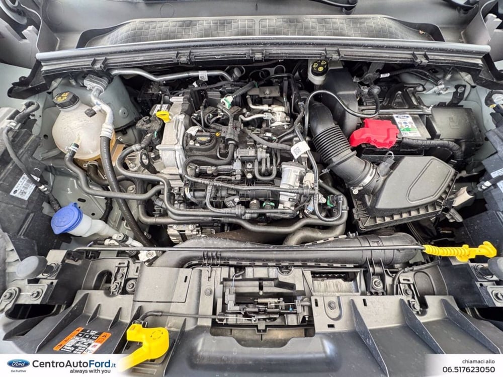 Ford Puma usata a Roma (13)
