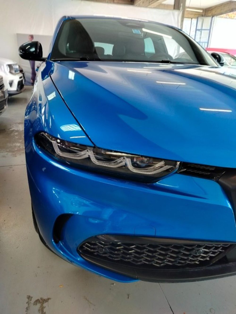 Alfa Romeo Tonale usata a Forlì-Cesena (15)