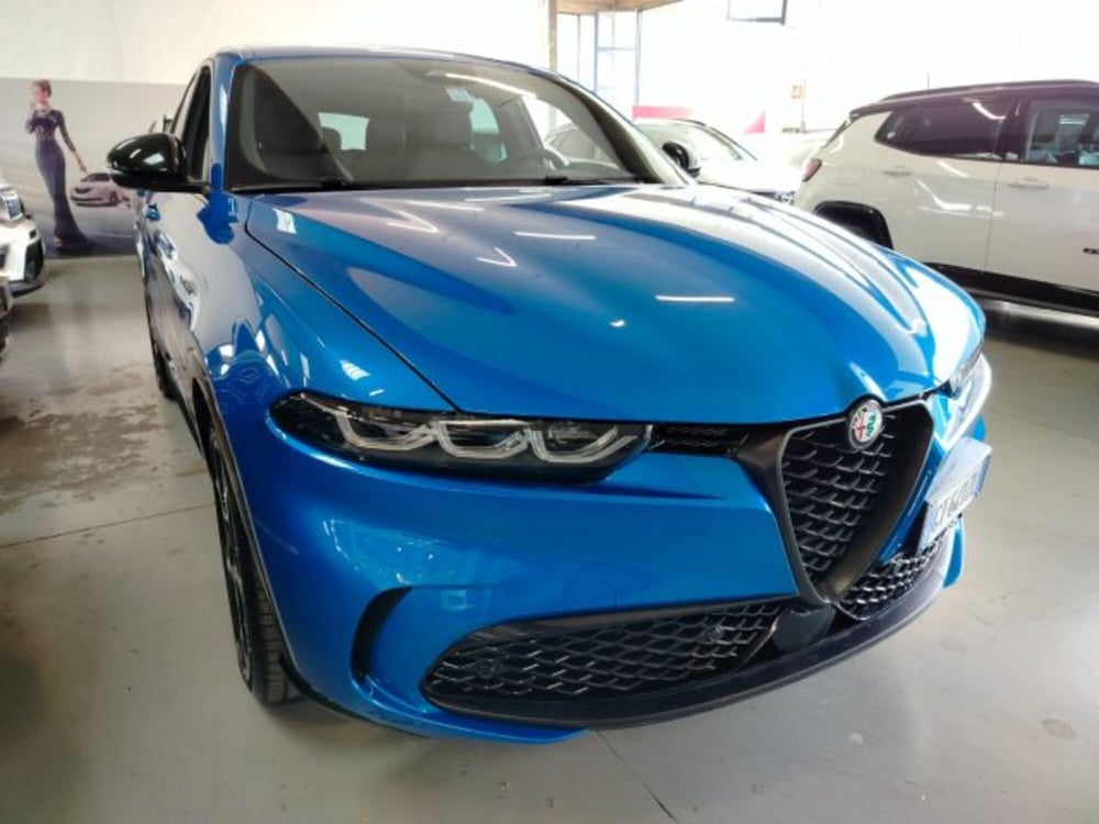 Alfa Romeo Tonale usata a Forlì-Cesena (6)