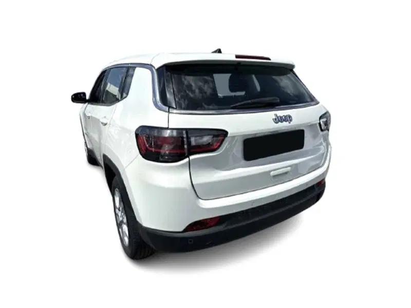 Jeep Compass usata a Bari (2)