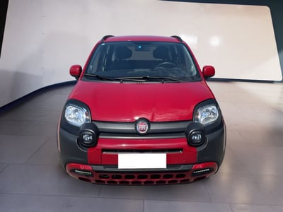 Fiat Panda Cross 1.0 firefly hybrid Cross s&amp;s 70cv 5p.ti del 2023 usata a Torino