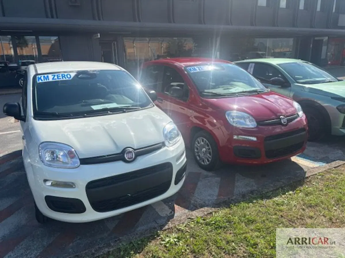 Fiat Panda nuova a Bergamo (2)
