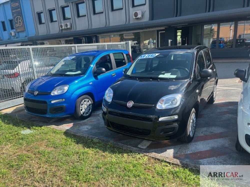 Fiat Panda nuova a Bergamo (3)