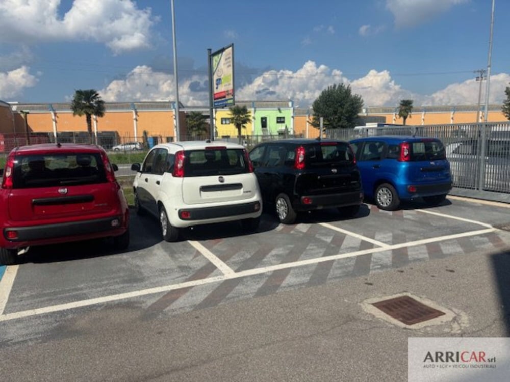 Fiat Panda nuova a Bergamo (4)