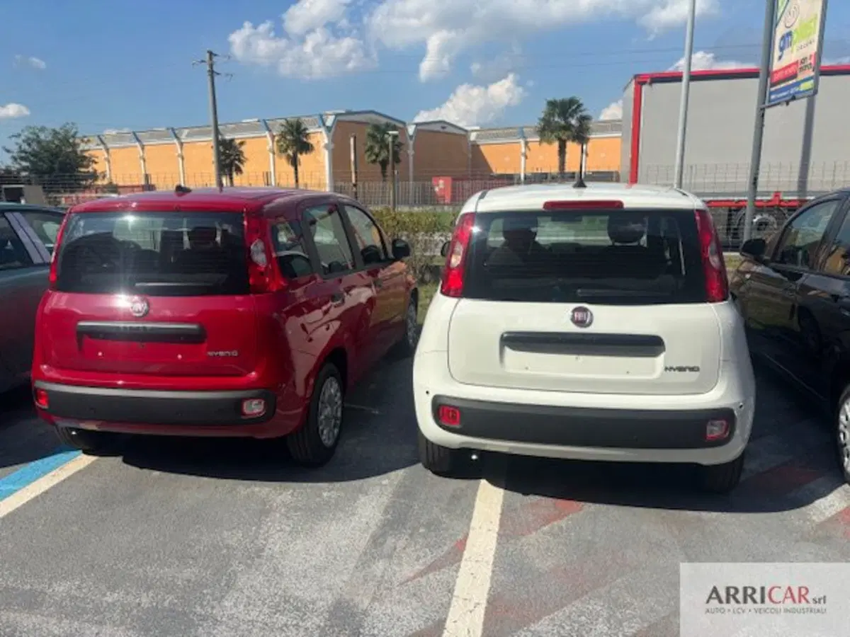 Fiat Panda nuova a Bergamo (5)