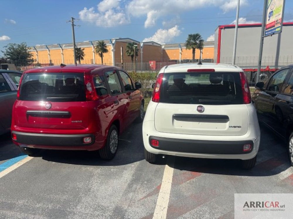 Fiat Panda nuova a Bergamo (5)