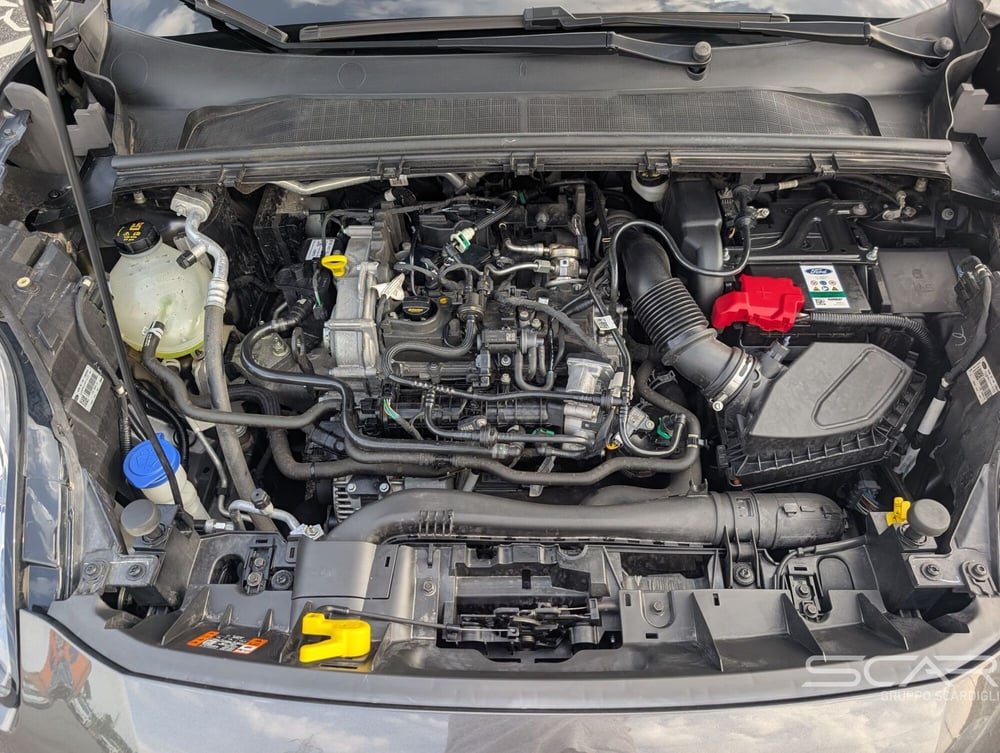 Ford Puma usata a Livorno (16)