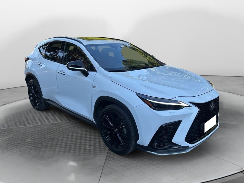Lexus NX usata a Bologna (3)