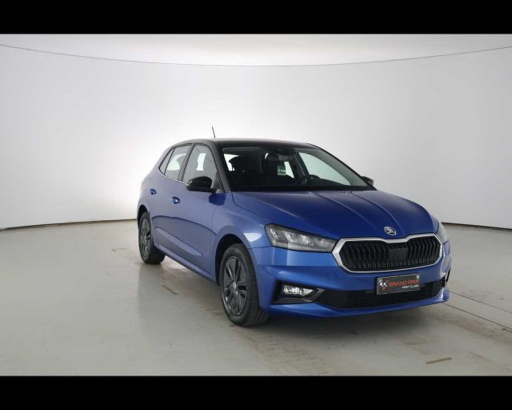 Skoda Fabia usata a Bologna (3)
