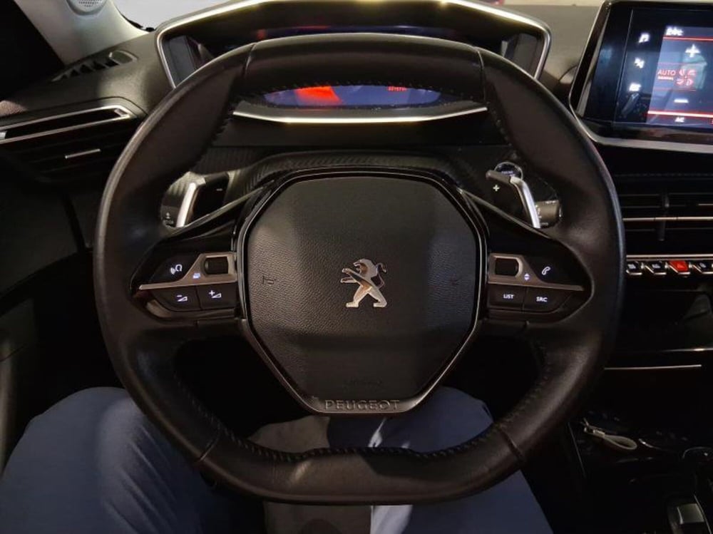 Peugeot 2008 usata a Genova (14)