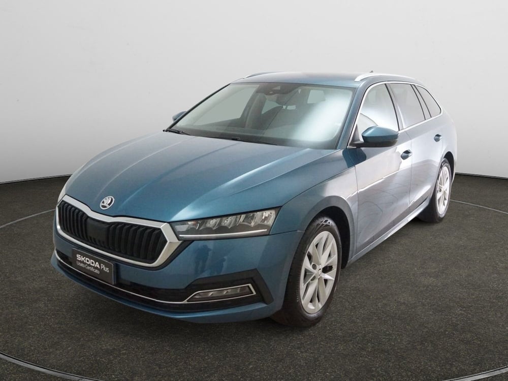 Skoda Octavia Station Wagon usata a Torino (3)
