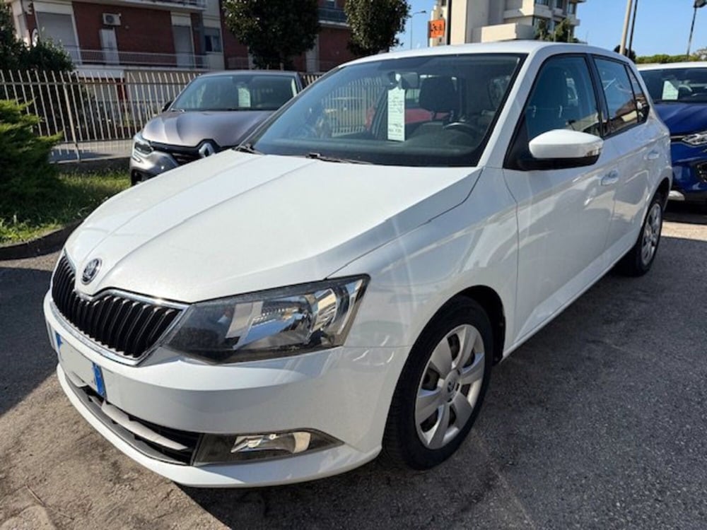 Skoda Fabia usata a Rimini