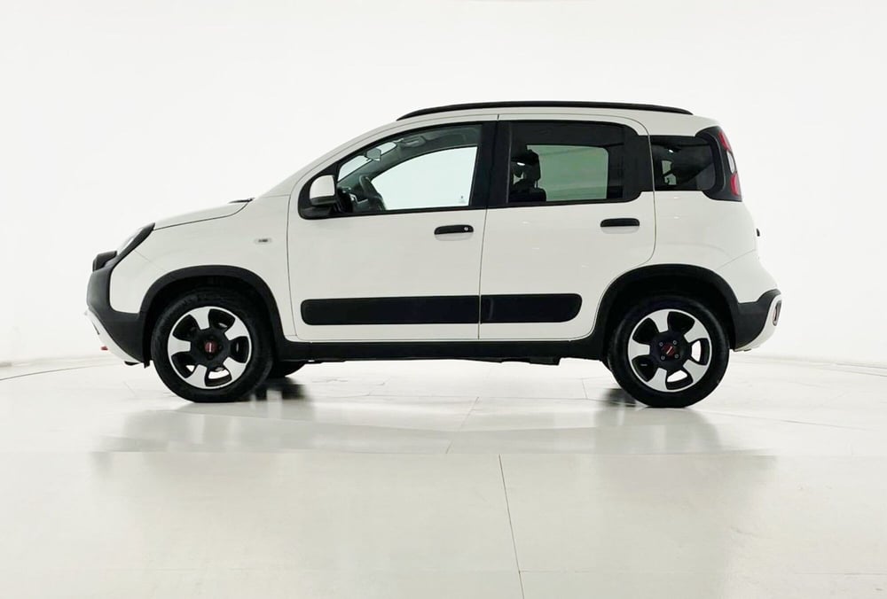 Fiat Panda Cross usata a Perugia (12)