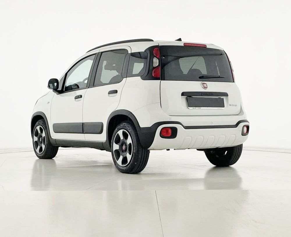 Fiat Panda Cross usata a Perugia (11)