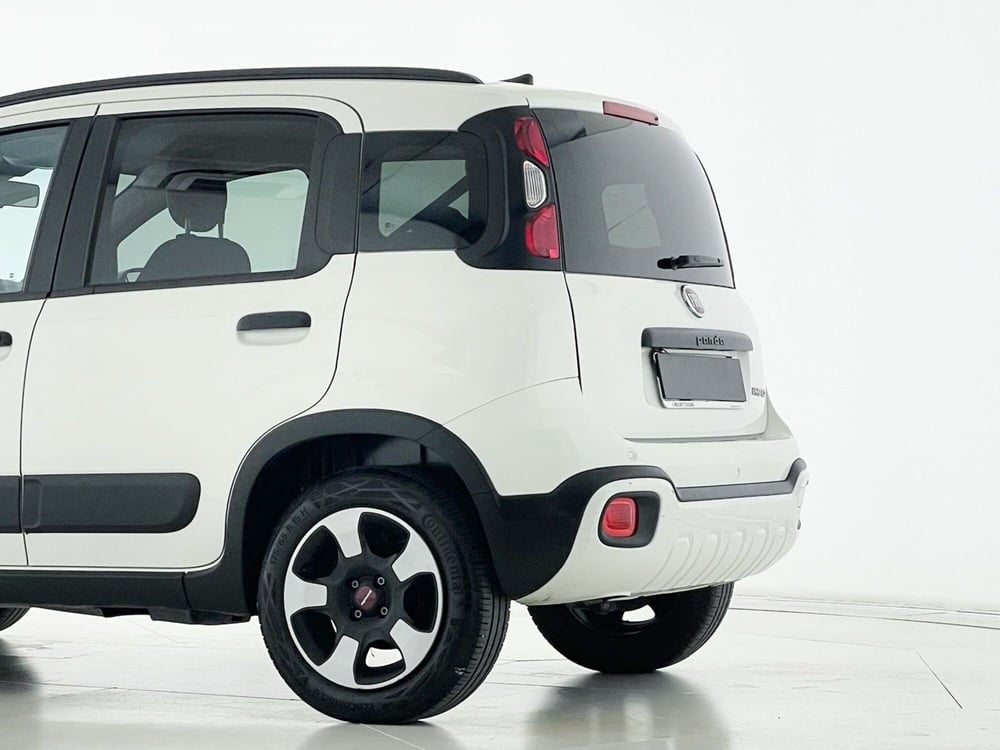 Fiat Panda Cross usata a Perugia (13)