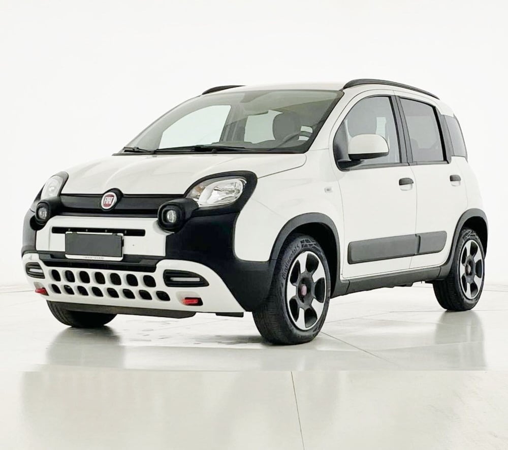 Fiat Panda Cross usata a Perugia