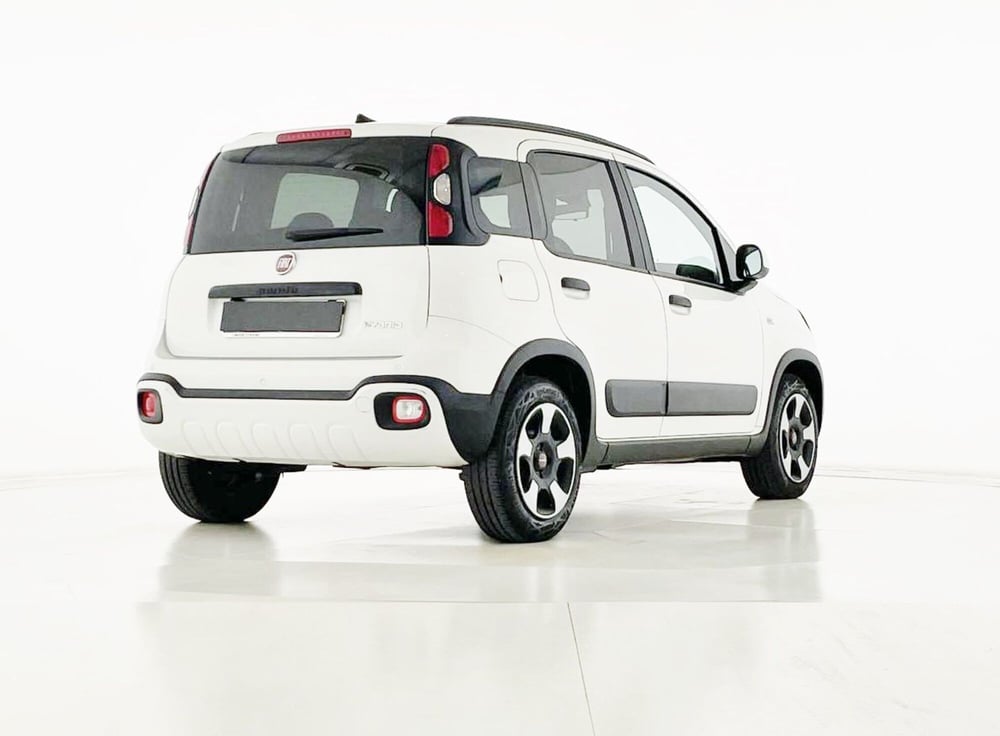 Fiat Panda Cross usata a Perugia (2)