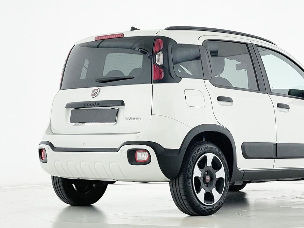 Fiat Panda Cross usata a Perugia (3)