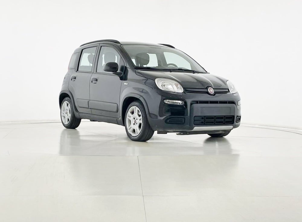 Fiat Panda usata a Perugia (7)