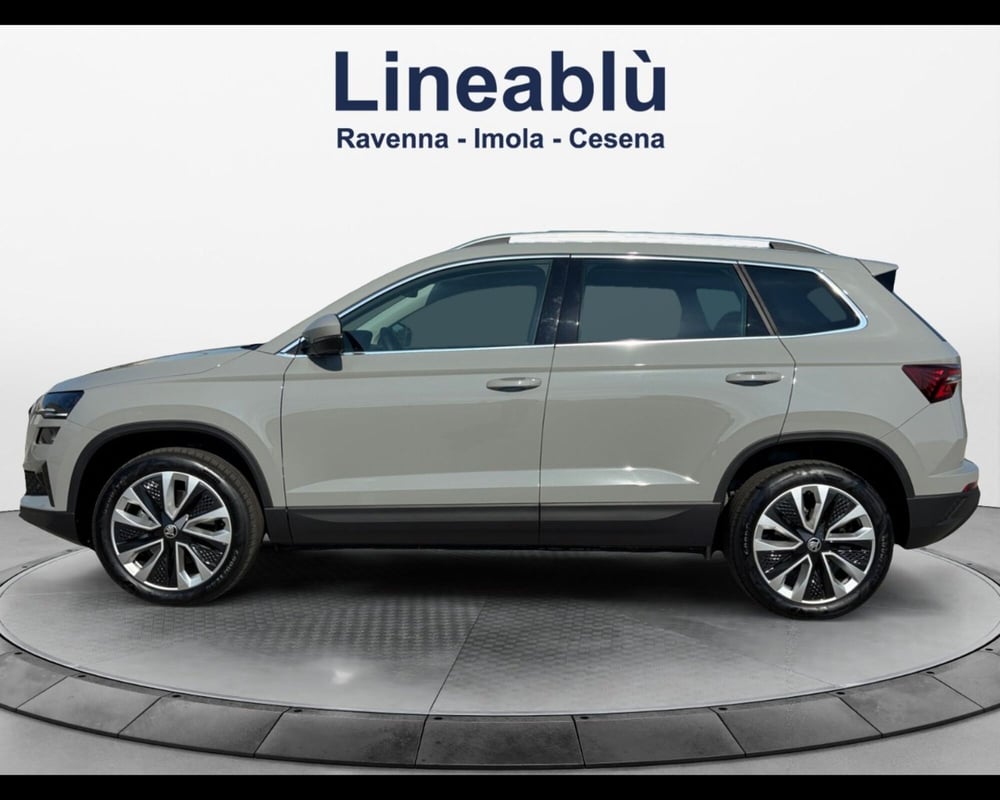 Skoda Karoq usata a Ravenna (2)