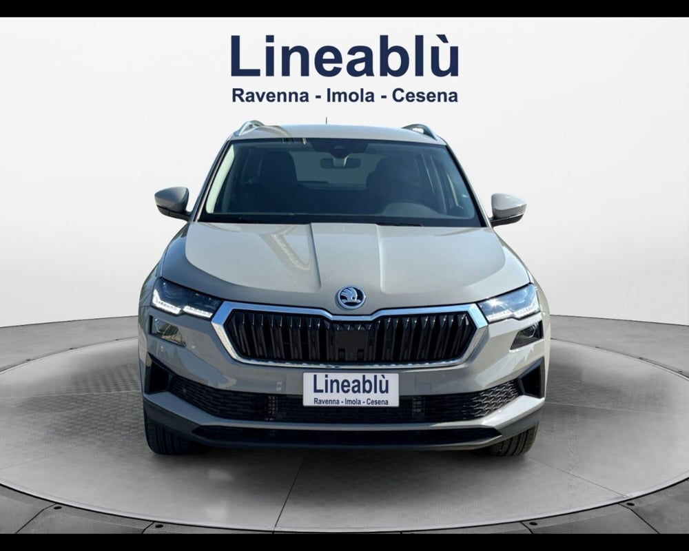 Skoda Karoq usata a Ravenna (8)