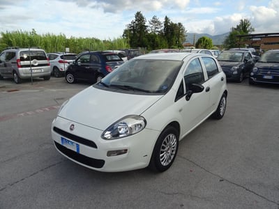 Fiat Punto 1.4 8V 5 porte Easypower Street del 2015 usata a Lucca