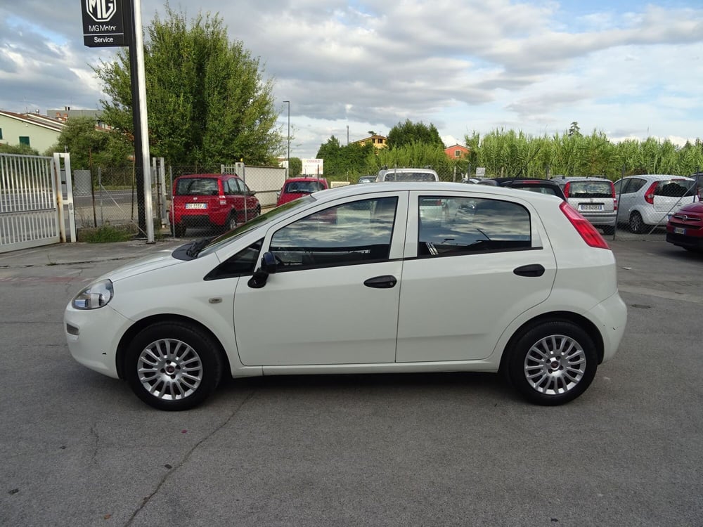 Fiat Punto usata a Lucca (2)