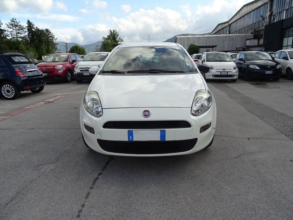 Fiat Punto usata a Lucca (7)