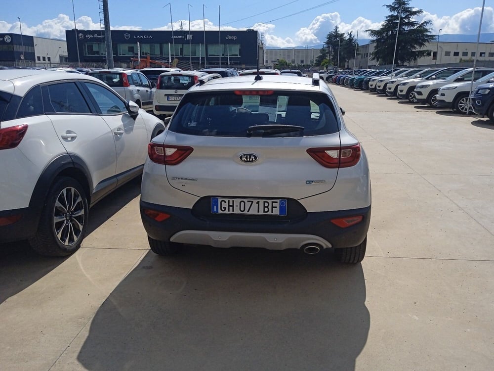 Kia Stonic usata a Cosenza (4)