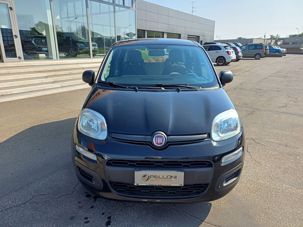 Fiat Panda usata a Modena (3)