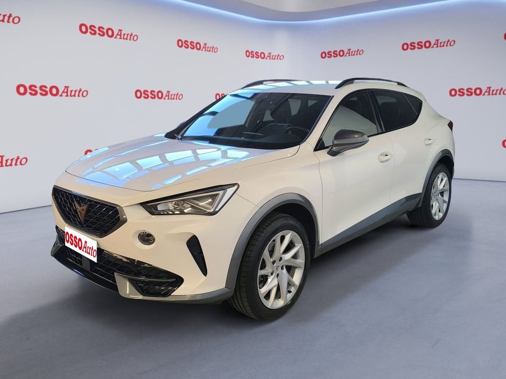 Cupra Formentor usata a Udine