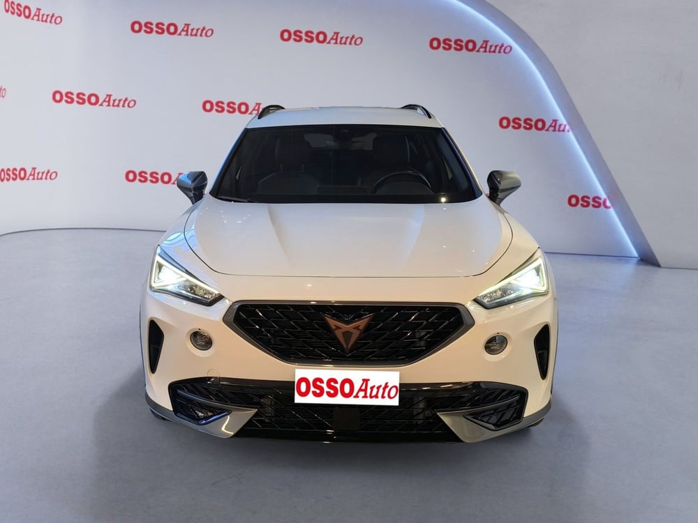 Cupra Formentor usata a Udine (5)